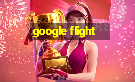 google flight