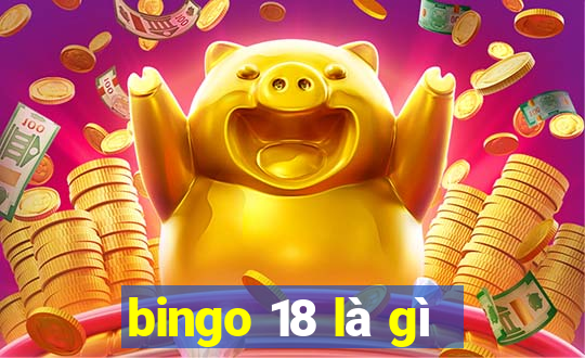 bingo 18 là gì