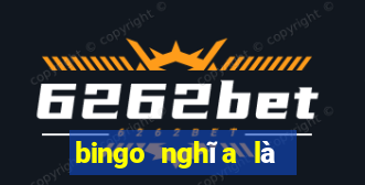 bingo nghĩa là chính xác