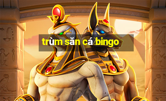 trùm săn cá bingo