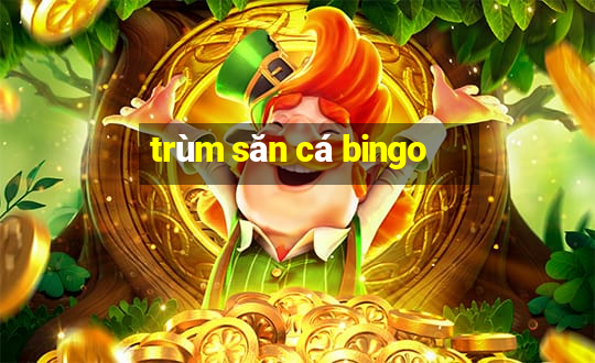 trùm săn cá bingo