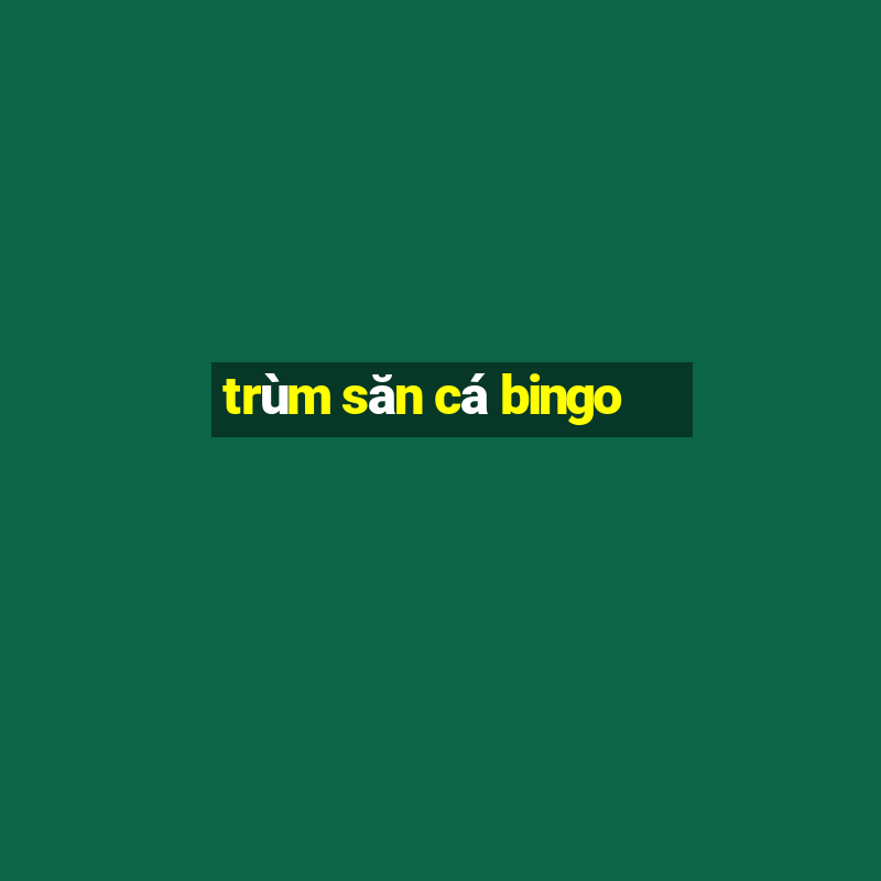 trùm săn cá bingo