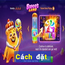 Cách đặt cược XSBINGO18 ngày 18