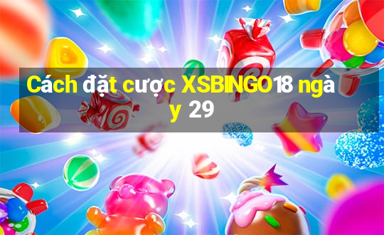 Cách đặt cược XSBINGO18 ngày 29