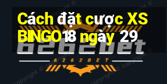 Cách đặt cược XSBINGO18 ngày 29